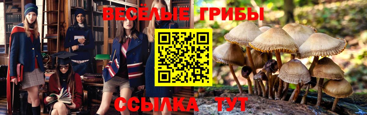 Галлюциногенные грибы мухоморы  Вход с VPN  Карабулак 
